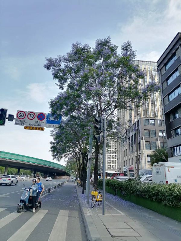 微信图片_20241224103840.jpg